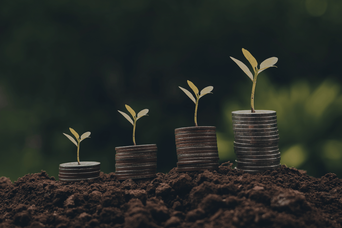 moral investing exemplified by photograph of money growing like plants on top of coin stacks